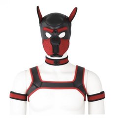 Комплект для игры в раба Dog Bondage Gear Kit Red IXI61638 фото