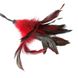 Метелочка-щекоталка Sportsheets - PLEASURE FEATHER RED на веревочной петле SO2190 фото 2