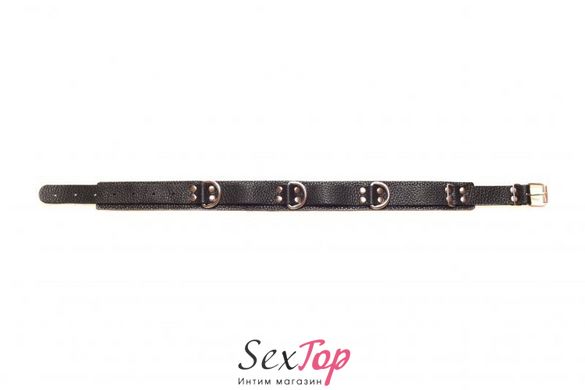 Ошейник Slave leather collar,black 280240 фото