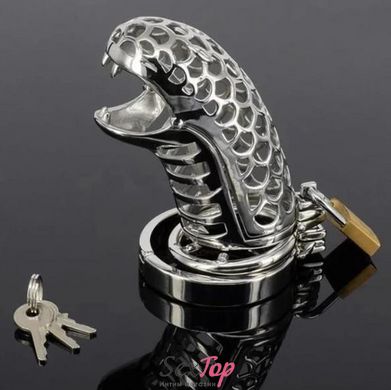Металевий пояс вірності Cobra паща кобри, красивий STF2719 фото